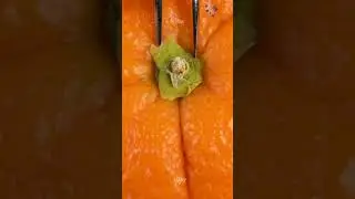 Orange stem in macro  