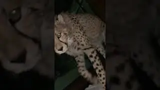 Sleeping With Some Friends