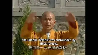 ШАОЛИНЬЦУАНЬ    АРХАТ 18 РУК  ....  Shaolin Kung Fu small Buddha's 18 hands