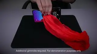 2021 Collection Demos