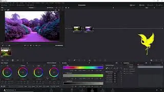 DaVinci Resolve 16 Lesson   56