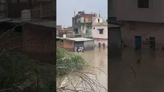 Delhi mai Yamuna 😨ka kahar poora gaon doob gaya 😢 