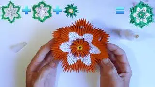 Paper Flower – Fllower Origami