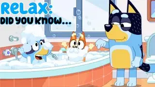 6 Facts about the Bluey episode RELAX (best bits from Ludo Studio's Behind Bluey Podcast)