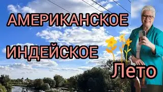 США.OPEN DOOR. ,, ИНДЕЙСКОЕ ЛЕТО,,АМЕРИКАНСКОЕ ,,БАБЬЕ ЛЕТО,,#америка #осенняяпора #americanlife