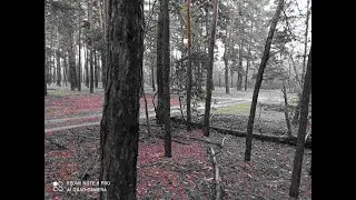 Находки снова порадовали!