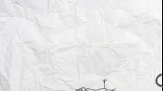 Bouncy ball