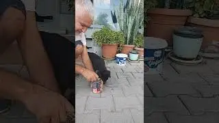 beslenme zamanı