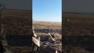 открытие охоты 2023. 