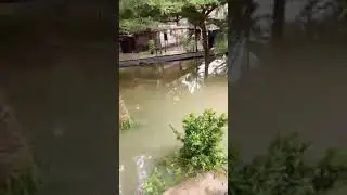 HEBOH,. Penampakan diduga tuyul berlari diatas air sungai
