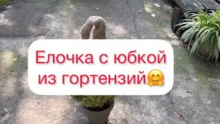 Елочка с юбочкой из гортензий 🎍