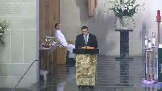 31st Sunday in Ordinary Time, St. Vincent de Paul Church, Houston,  11-03-2024, 11:00 am