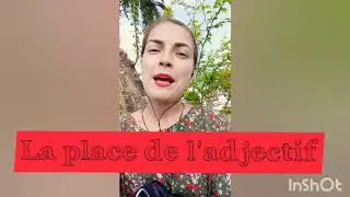 Урок 33. Место прилагательных