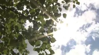 Хинганский заповедник