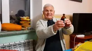 Пчелиный подмор - польза или вред?