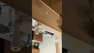 WALL CRAWLING