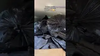Как ты думаешь куда делся Этот ГУДРОН? Поставь на 👉⏸️напиши свой вариант, юмор 😂 приветствуется)!
