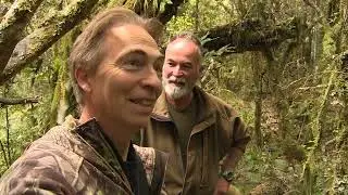 Up-close roaring stags with The Graf Boys
