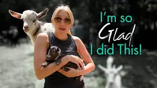 Why you NEED to try goat yoga!