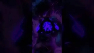 SENTAKEE PHONK 🔥🎧 