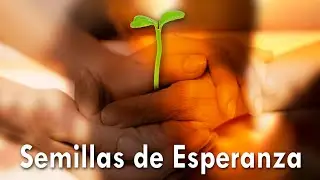 Sergio Vellido & Guiye Gods - Semillas de Esperanza [Vídeo Oficial]
