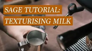 Sage Barista Pro Texturised Milk Tutorial / A step-by-step guide to perfect texturised milk
