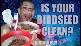HOW TO CLEAN BIRD SEEDS