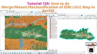 Merge/Mosaic/Reclassification of ESRI LULC Map in ArcGIS