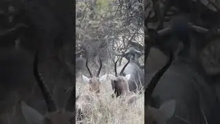 Вечерний ЮАР 🇿🇦🌏🌏🌏