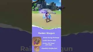 Raiden Shogun Build - Genshin Impact