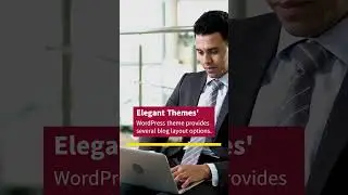 WordPress Theme with Blog Layout Options