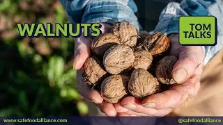 Tom Talks - Walnuts