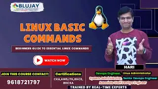 Linux Basic Commands | Beginners Guide to Essential Linux Commands