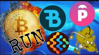 Bitcoin DIP or Crash $ Bulls gone $ Hell NO $TOK $PAR $BID Possible high Gainer - YADO said