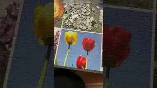 Хочу лето❤️🌹🌺🌸🌼🌻 
