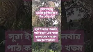 সুরা ইখলাস#shorts#short#shortsfeed