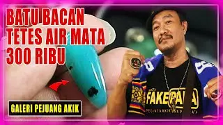 HARGA BATU AKIK BACAN BIOSOLAR ANGGUR OBI PANCAWARNA KALIMAYA | JAKARTA GEMSTONES MARKET (INDONESIA)