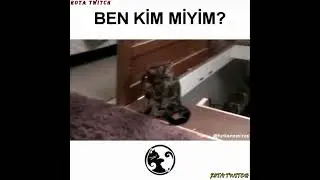 FURKAN EMİRCE - BEN KİM MİYİM? #shorts #furkanemirce #faruk #keşfet #trending #trendingshorts