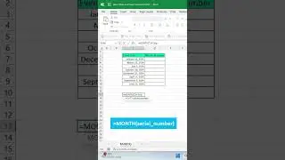 MONTH() Function in Excel!  