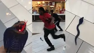 RC Snake Prank