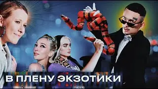 КАКИЕ ЗВЕЗДЫ И ТИКТОКЕРЫ ПОКУПАЮТ РЕПТИЛИЙ У НАС? Невероятно, но это факт