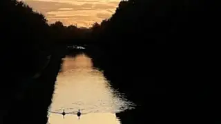 Le canal au soleil couchant 🌅 🦢