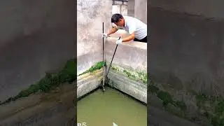 ❗galing ah❗ #fishing #viralshort #food #tinoc