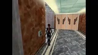 Tomb Raider 5: Chronicles: Level 12 Escape With The Iris Walkthrough