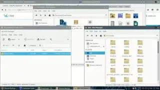 Section 9   Change Cursor theme