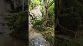 falls