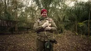 Le monde brûle - épisode 1 : secourir les animaux sauvages