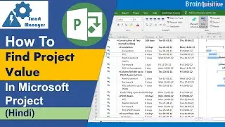 How to find project value from Microsoft Project Schedules