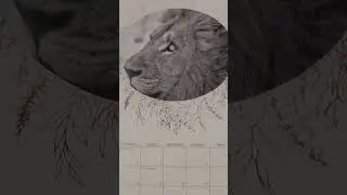 🇿🇦❤️🇿🇦