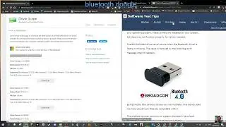 BUDGET BLUETOOTH DEVICE DRIVER- BCM20702A0 Drivers Download